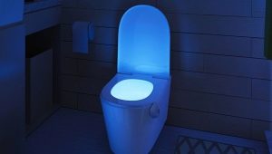 Đèn chiếu sáng trong nhà vệ sinh: điều gì xảy ra và làm thế nào để lựa chọn?