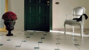 Floor in the hallway: features, types and tips for choosing