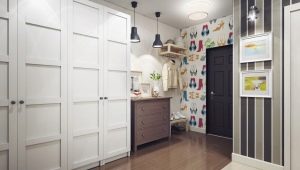 Wardrobes in the hallway: varieties and choices