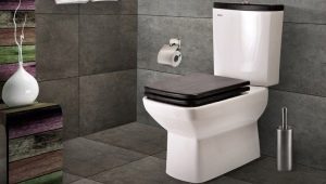 Dimensions of toilet bowls with cistern