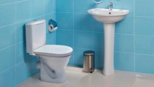 مقاعد المرحاض Santek: ميزات وتوصيات للاختيار