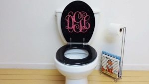 Toilet seats: types and choices
