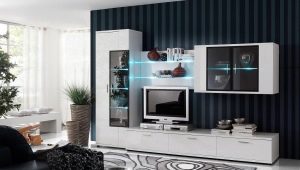 Moderné steny v obývacej izbe: typy, možnosti a možnosti v interiéri