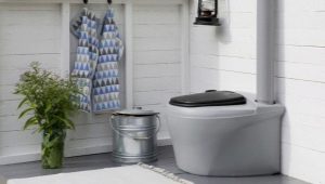 Nhà vệ sinh than bùn cho một nơi ở mùa hè: nó được bố trí như thế nào và lựa chọn phương án nào tốt hơn?