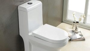 Monoblock-Toilette: Funktionen und Empfehlungen zur Auswahl