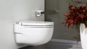 Cuvettes de toilettes sans réservoir: avantages et inconvénients, variétés, choix
