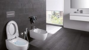 Toalety Keramag: modelová řada, vlastnosti a vlastnosti