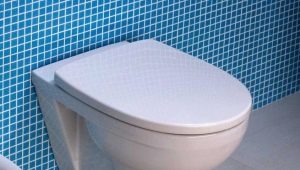 Kolo toaleti: raznolikost modela i kriteriji odabira