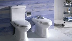 Toilettes Roca : description, types et sélection