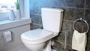 Тоалетни с наклонен изход: разновидности, съвети за избор и тънкости при монтаж