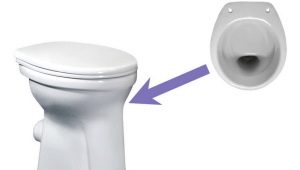 Toilets with a shelf: features, variety of models and selection criteria