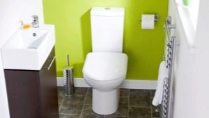 Small toilet design options