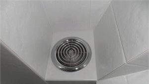 Ventilátorok a WC-ben: típusok és gyártók áttekintése, tippek a választáshoz