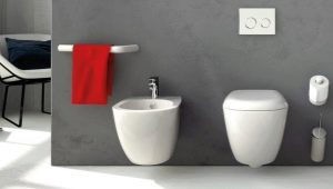 Soorten toiletten per kom: wat zijn er en hoe te kiezen?