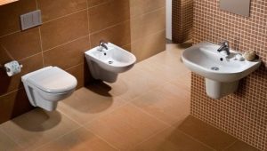 Built-in toilets: features and varieties, pros and cons