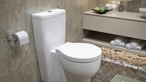 Înălțimea vasului de toaletă: norme și standarde