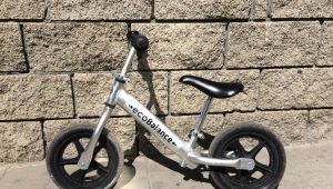 Xe đạp cân bằng EcoBalance: phạm vi và sự tinh tế của sự lựa chọn