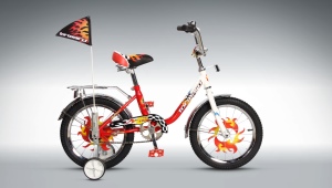Children's bicycles Forward: a review of the best models