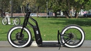 Büyük tekerlekli elektrikli scooter: üreticilerin özellikleri ve derecelendirmesi