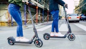 How to choose an electric scooter for the city for an adult?