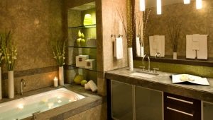 Niches in the bathroom: varieties, filling options