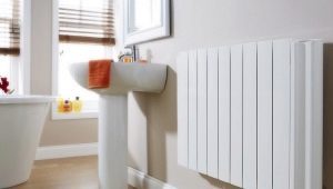 Bathroom heaters: what are there and how to choose?