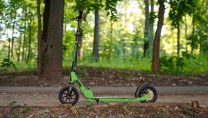 Features and overview of Novatrack scooter models