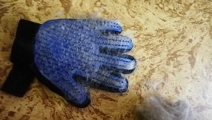 Sarung tangan untuk menyikat rambut haiwan peliharaan: apakah itu dan bagaimana untuk memilih?