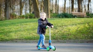 Driewielige scooters: typen, beoordeling van de beste modellen en selectiecriteria