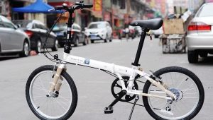 Dahon-cyklar: fördelar, nackdelar och en överblick över utbudet