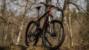 KTM cykler: modeller, anbefalinger til valg