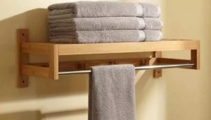 Hangers in the bathroom: varieties and choices