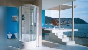 Porte per una cabina doccia: descrizione dei tipi, regole di progettazione e selezione