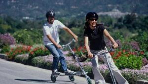 How to choose a three-wheeled adult scooter?