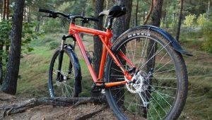 Bicycle mudguards: varieties, tips for choosing and installing