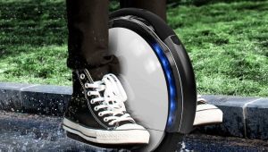 Monowheel: features, types, selection and repair