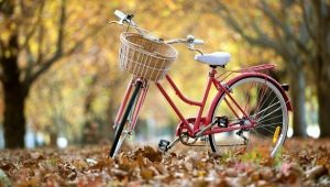 Revizuirea bicicletei bugetare și sfaturi pentru alegerea lor