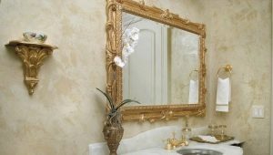 Bathroom plaster: varieties and features of choice