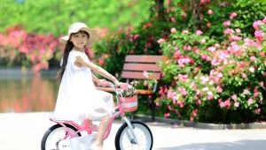 Cykel til en pige: typer og valg