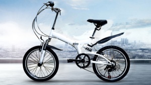 Cykler 20 tommer: funktioner, typer og valg