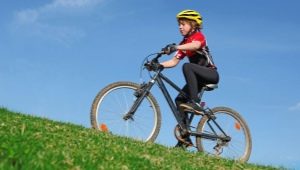 Cykler til teenagedrenge: de bedste modeller og udvælgelseskriterier