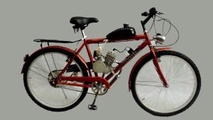 Motorized bicycles: specifications and manufacturers