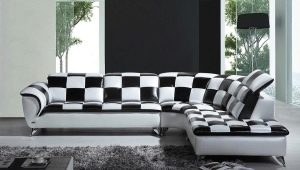 Melnbaltie dīvāni: funkcijas un kombinācijas noteikumi