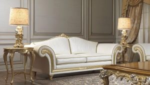 Klasiskie dīvāni: skati un skaisti piemēri interjerā