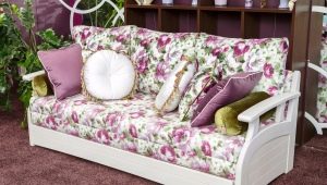 Πτυσσόμενοι καναπέδες-καναπέδες: χαρακτηριστικά και ποικιλίες