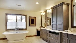 Bathroom cabinets: types and choices