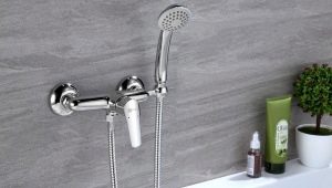 Mga shower faucet: mga uri at pagpipilian