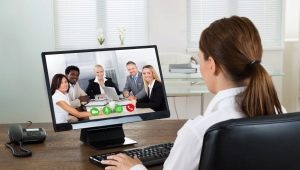 Telefon og Skype interview med arbejdsgiver