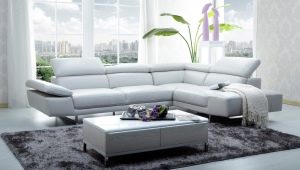 Mga modernong designer sofa