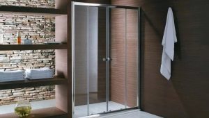Puertas de ducha de vidrio: características, tamaños y diseños.